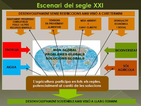 Draft Domingo 551518317-image11.png