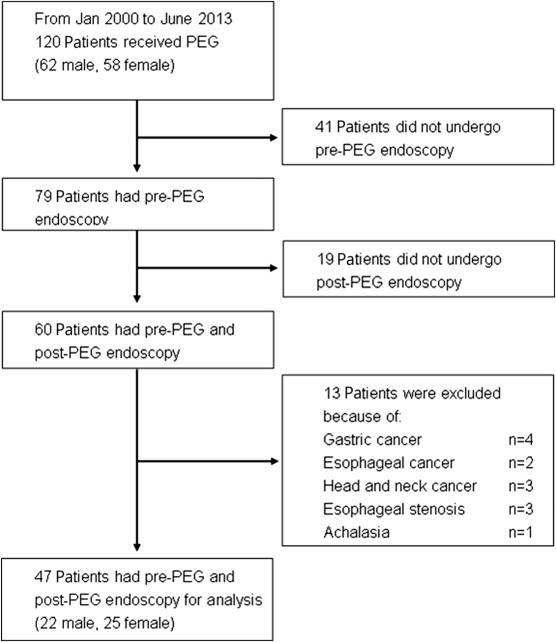 Flow chart representation of patient selection in the study of the occurrence of ...