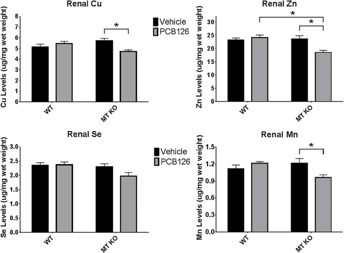 MTKO mice are susceptible to renal micronutrient disruption caused by ...