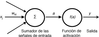 Estructura de una neurona.