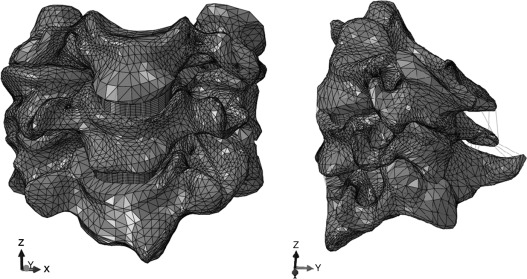 Modelo da unidade funcional C4‐C5‐C6 saudável.