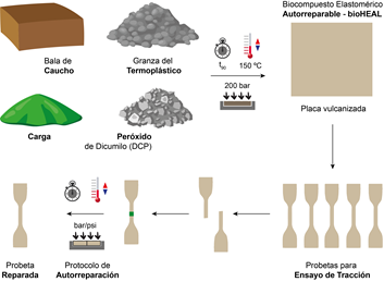 SANTANA et al 2022a-image6.png