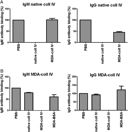 Specificity of the ELISAs for IgM and IgG against native and MDA-modified ...