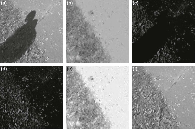 (a) Input image I; (b) shadow free invariant image IN of input I; (c) ...