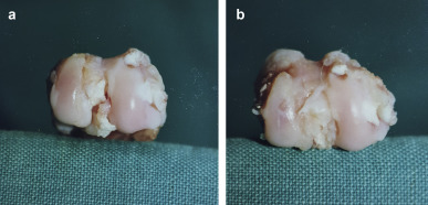 Fig. 2