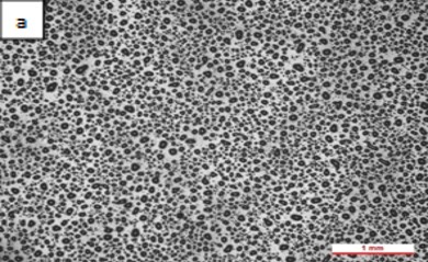 Review 950121520459 8581 Figura 3a.jpg