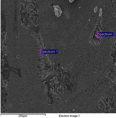 Compositional analysis (by EDX) of columnar dendrites.