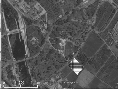 Aerial photograph of the study area. Hatched area shows the experimental area.