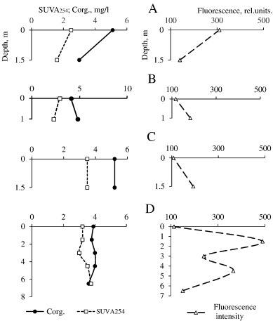 Vertical distribution of carbon in the DOM, SUVA254 values and fluorescence ...