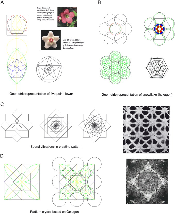 Geometric proportions in nature (Singer, 2008).