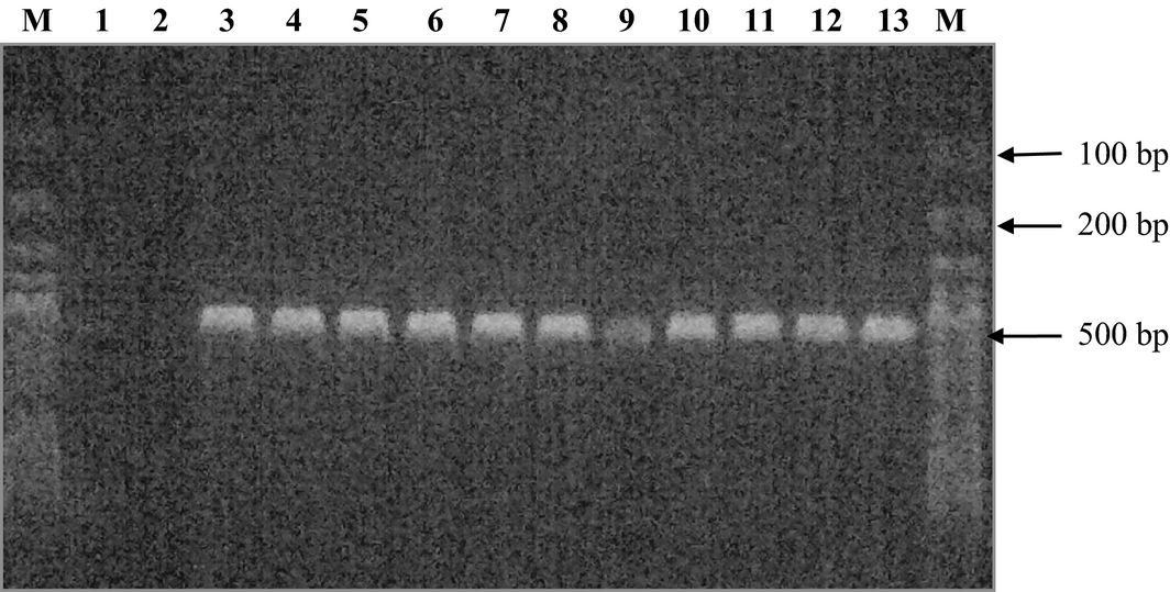 Figure 1.