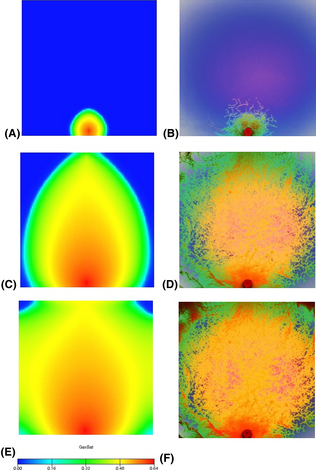 Figure 14.