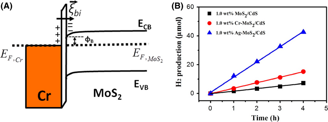 Figure 14.