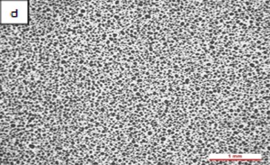 Review 950121520459 4131 Figura 3d.jpg