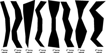 Representação das 8 primeiras formas naturais de vibração do modelo experimental ...