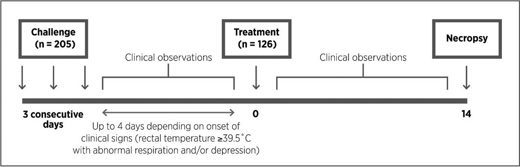 Figure 1.
