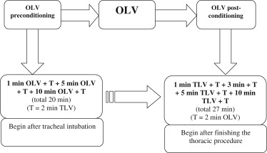 The model of OLV preconditioning combined with OLV post-conditioning. OLV = ...