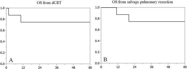 Images of positron emission tomography-computed tomography obtained before ...