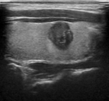 Draft Xu 795668614-image6.png