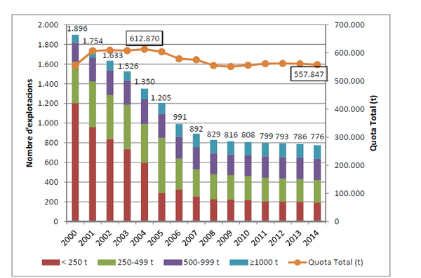 Draft Domingo 551518317-image6-c.png
