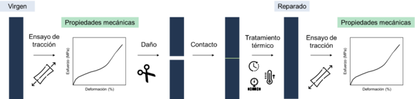 Draft Hernandez Santana 504976327-image2.png