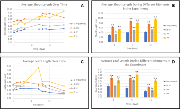 Draft Melika 548370994-image2.png