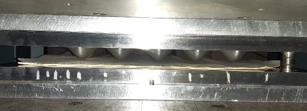 Franco et al 2022a-image23.jpeg