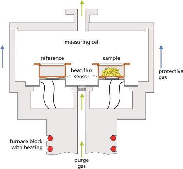 Draft Porcar 882985824-image8.jpeg