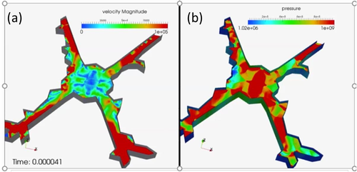 (a) Velocity and (b) pressure distribution in the gas domain at 41  µs.