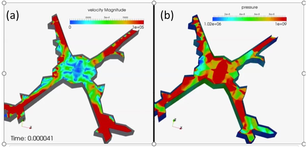 (a) Velocity and (b) pressure distribution in the gas domain at 41  µs.