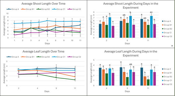 Review 855074334749-image40.jpg