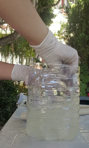 Jauregui et al 2019a-image51-c.png