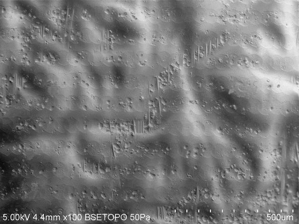 Botana-Galvin et al 2019a-image8.jpeg