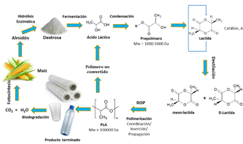 Draft Fenollar Gimeno 191493541-image5-c.png