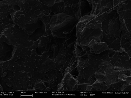 Draft Sanchez Nacher 609349791-image8-c.png