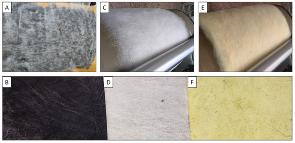 Draft Domenech 385174610-image3.png