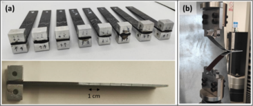 Draft Herrera 281112279-image2.png