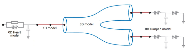 Coupling of 0D heart model, with 1D model (Systemic Circulation), 3D model (patient-specific geometry) and 0D lumped models (terminal resistance) to perform a computational analysis