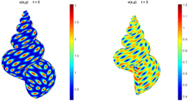 Concentrations at t = 0 and t = 2.