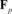 Draft Samper 372337659-image126.png