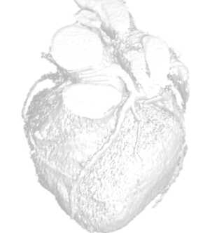 Draft Samper 526155048-image3.png