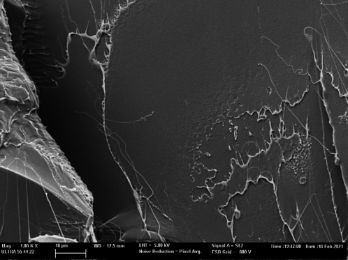 Draft Sanchez Nacher 609349791-image7.png