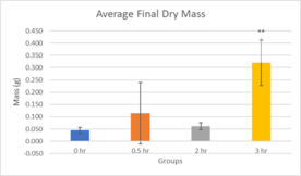 Review 855074334749-image12.png