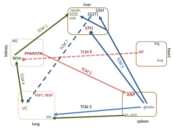 Draft Liu 419043296-image2.jpeg