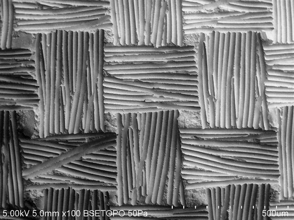 Botana-Galvin et al 2019a-image10.jpeg