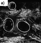 Draft Lopez-Arraiza 561444482-image2.png