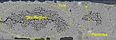 Torres et al 2021b-image7-c.png