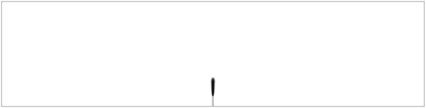 Local model. Middle stage.