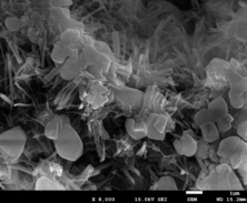 Review 156654264638-image8.png