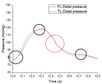 Draft Samper 411837410 2628 Grafica28.png